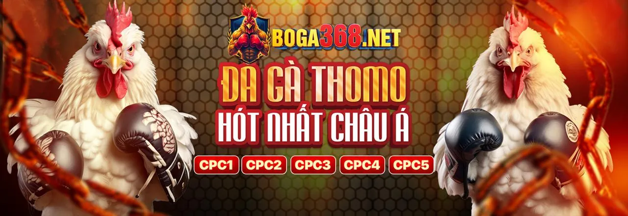 Các trò chơi cá cược đa dạng như đá gà, thể thao, casino và nổ hũ