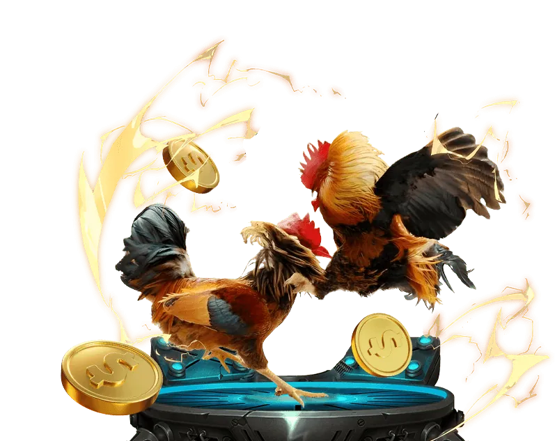 Chương Trình Hoàn Trả Cao